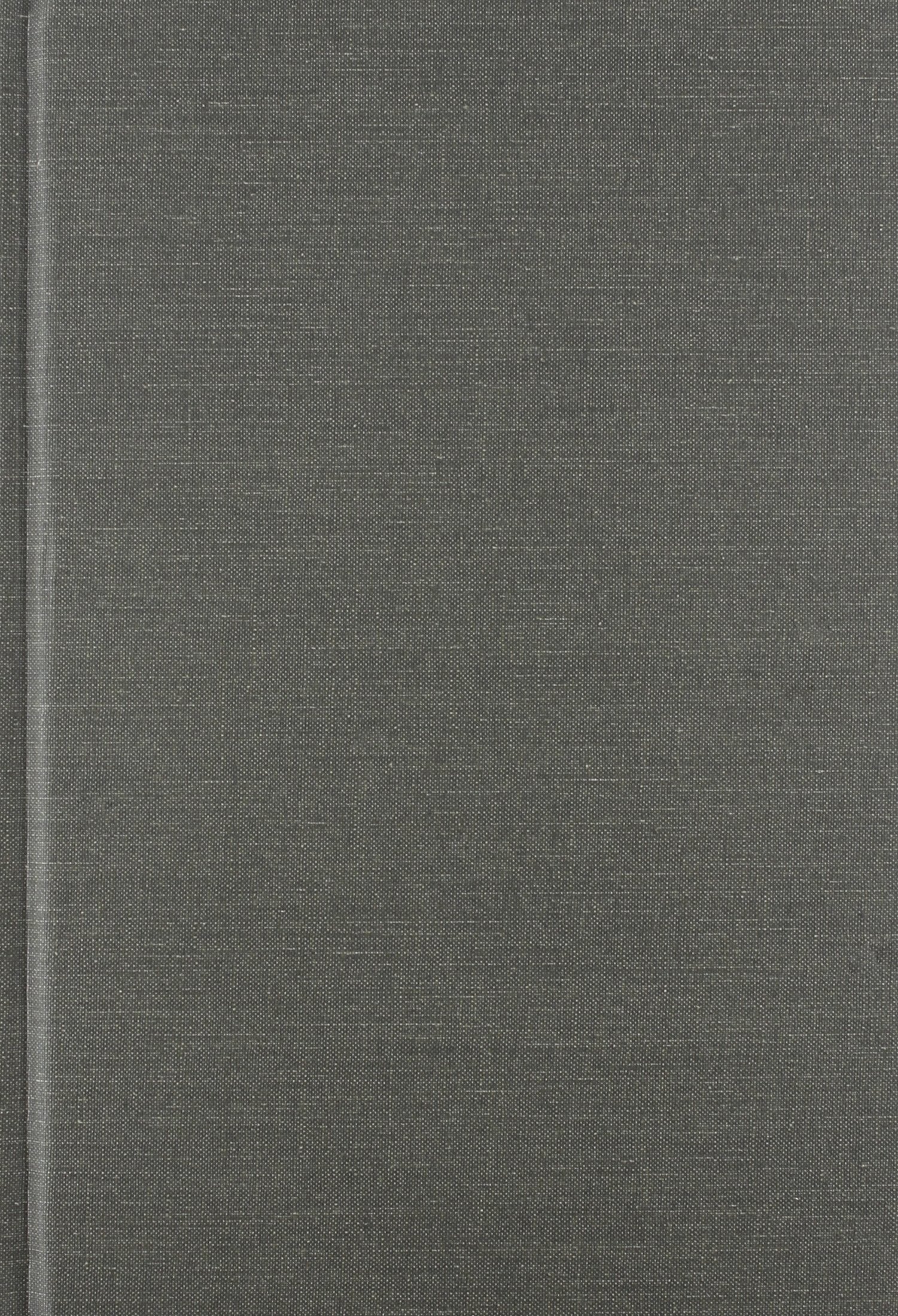 Race Relations Litigation In An Age Of Complexity (Constitutionalism And Democracy),Used