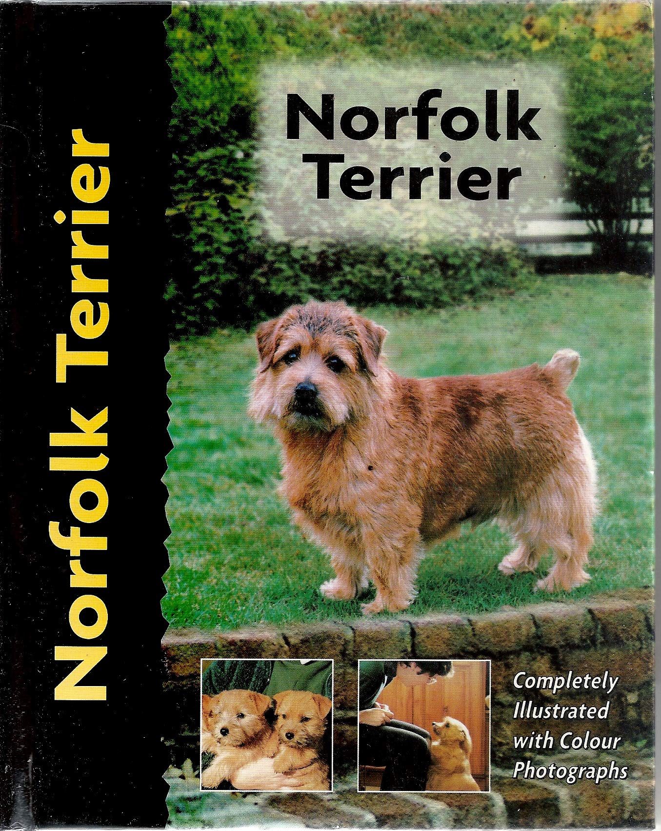 Norfolk Terrier (Comprehensive Owner'S Guide)