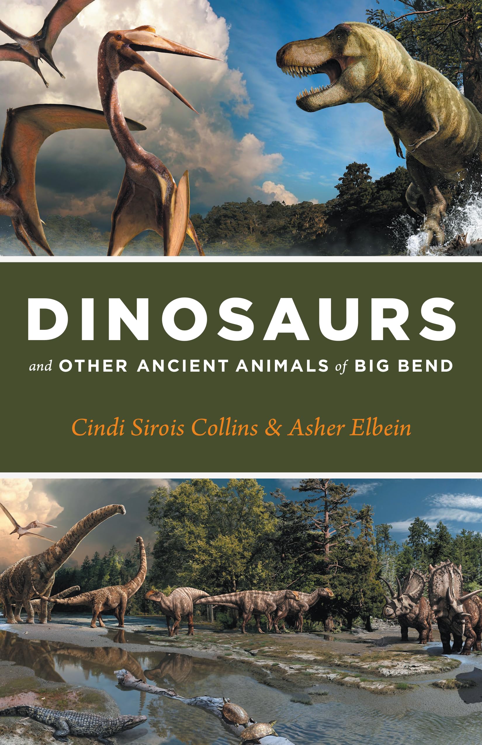 Dinosaurs and Other Ancient Animals of Big Bend (The Corrie Herring Hooks),New