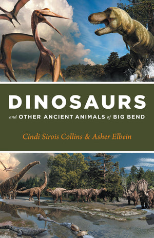 Dinosaurs and Other Ancient Animals of Big Bend (The Corrie Herring Hooks),New