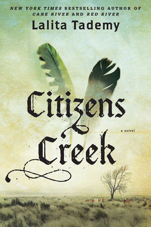 Citizens Creek (Wheeler Large Print Book Series),Used