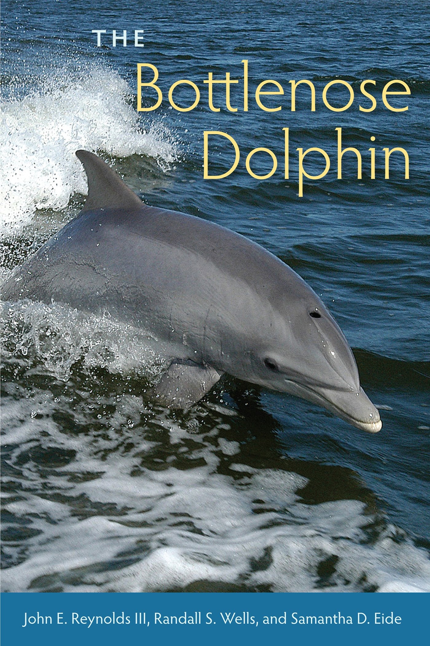 The Bottlenose Dolphin: Biology And Conservation,Used