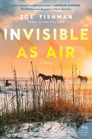 Invisible as Air: A Novel,Used