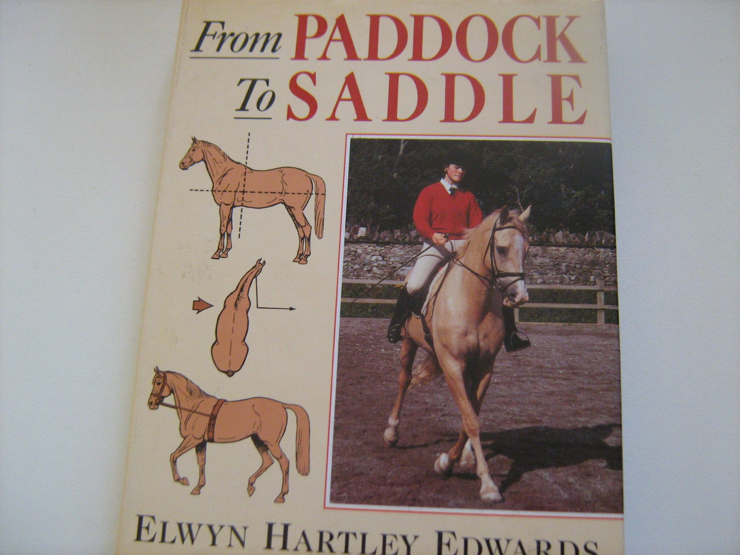 From Paddock to Saddle,Used