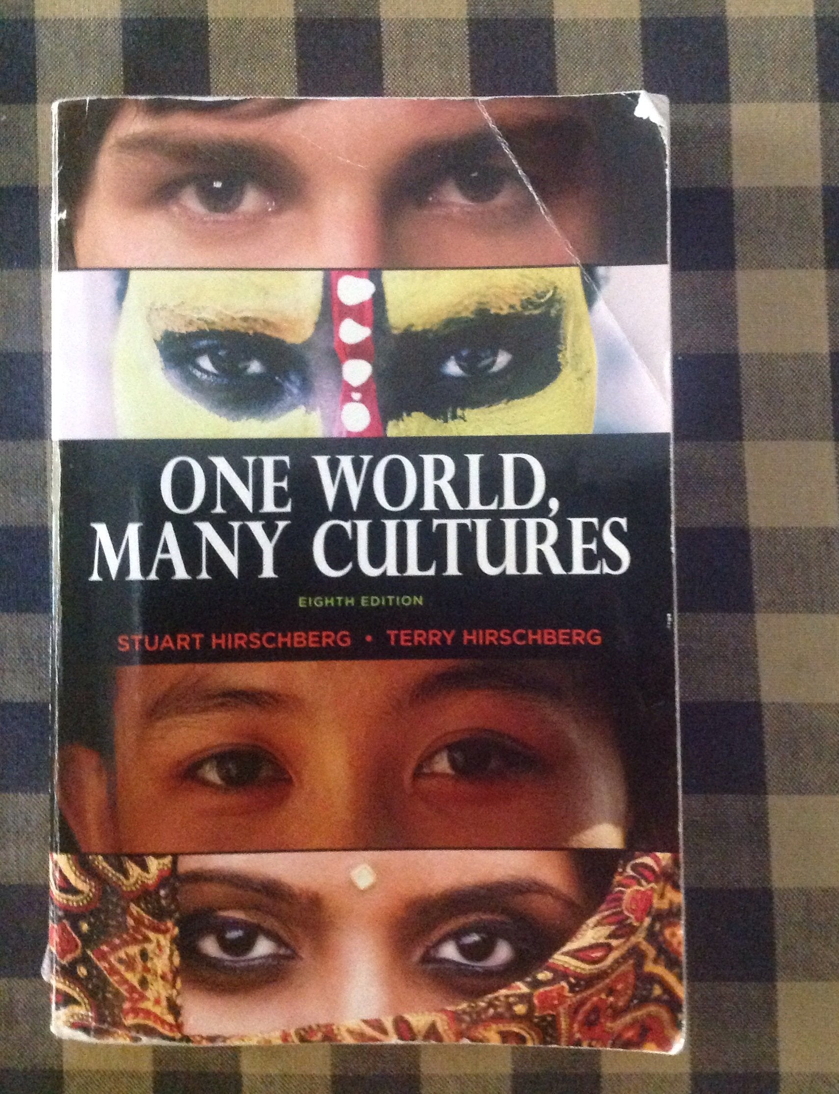 One World, Many Cultures, 8th Edition,Used