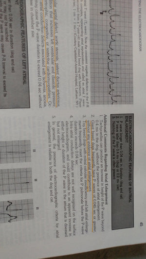 Bolton's Handbook of Canine and Feline Electrocardiography,Used