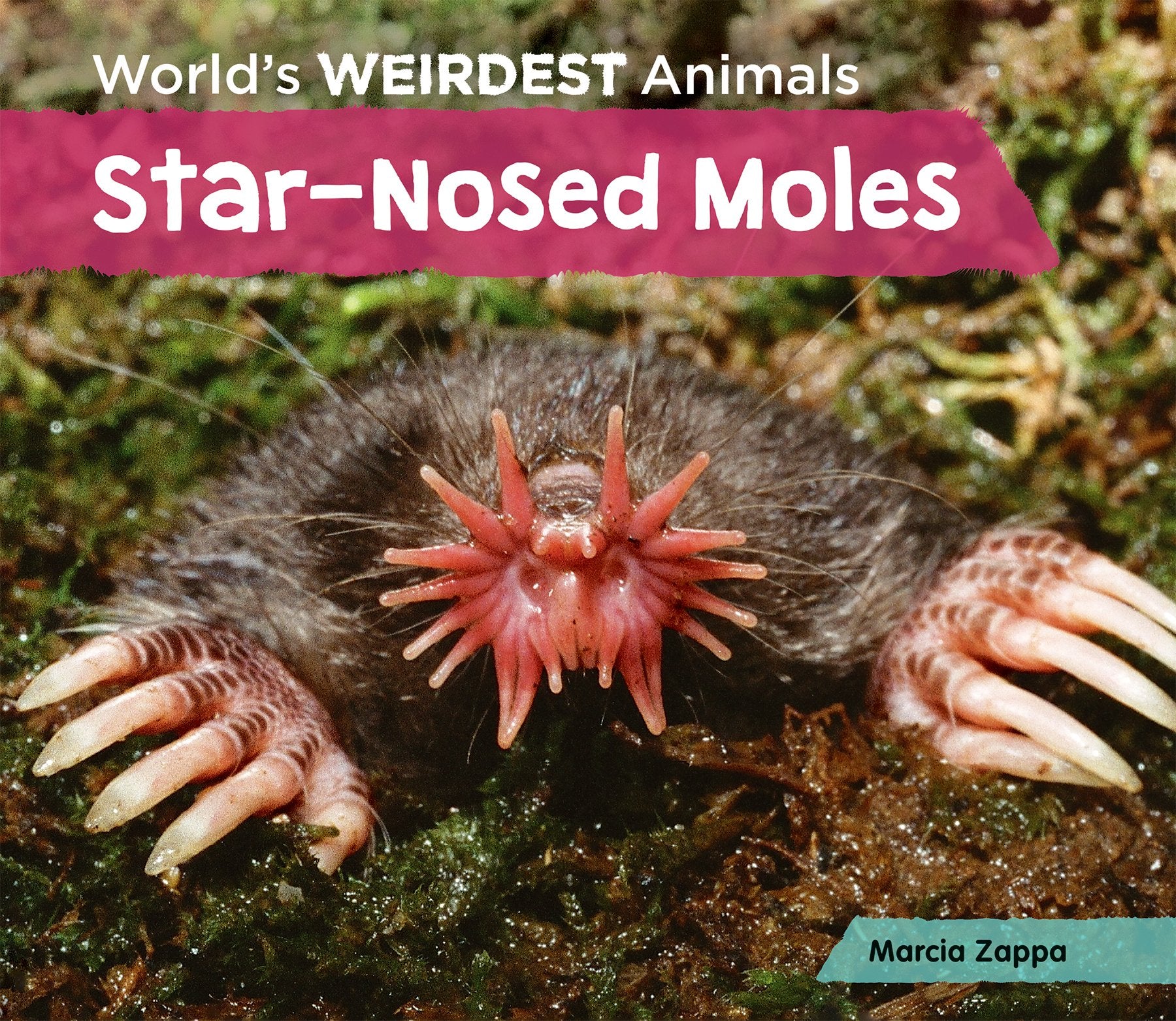 Starnosed Moles (World's Weirdest Animals),Used
