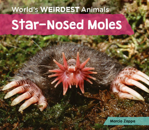 Starnosed Moles (World's Weirdest Animals),Used