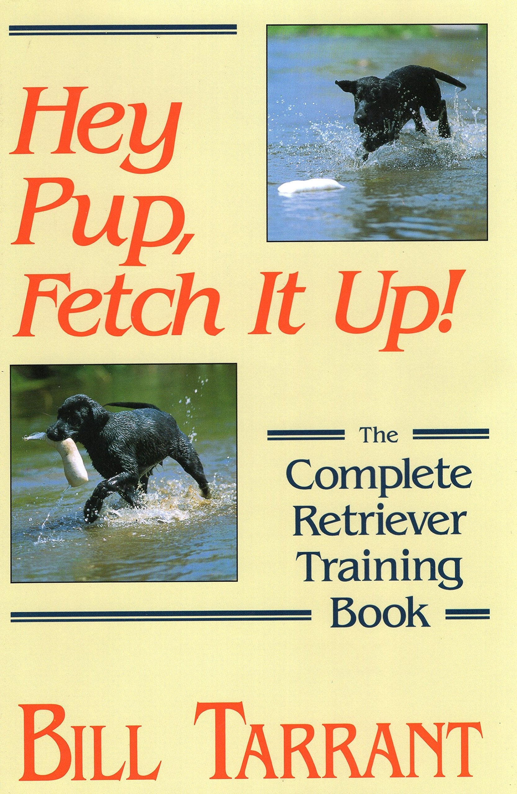 Hey Pup, Fetch It Up!: The Complete Retriever Training Book,New