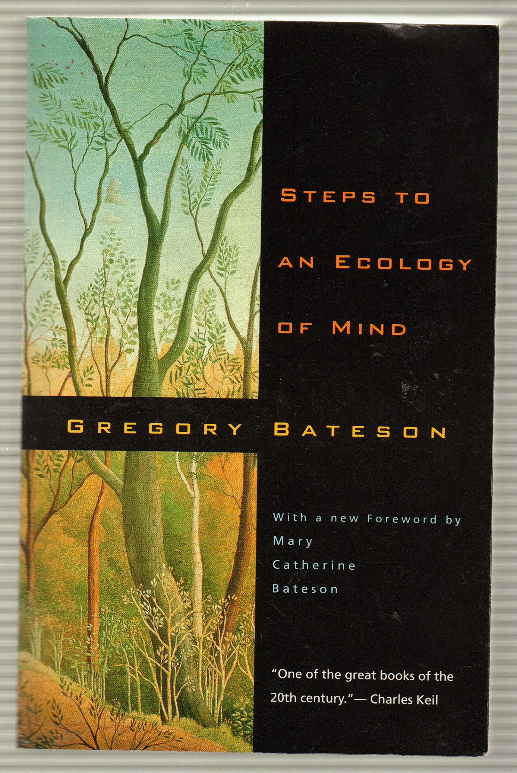 Steps To An Ecology Of Mind: Collected Essays In Anthropology, Psychiatry, Evolution, And Epistemology,Used