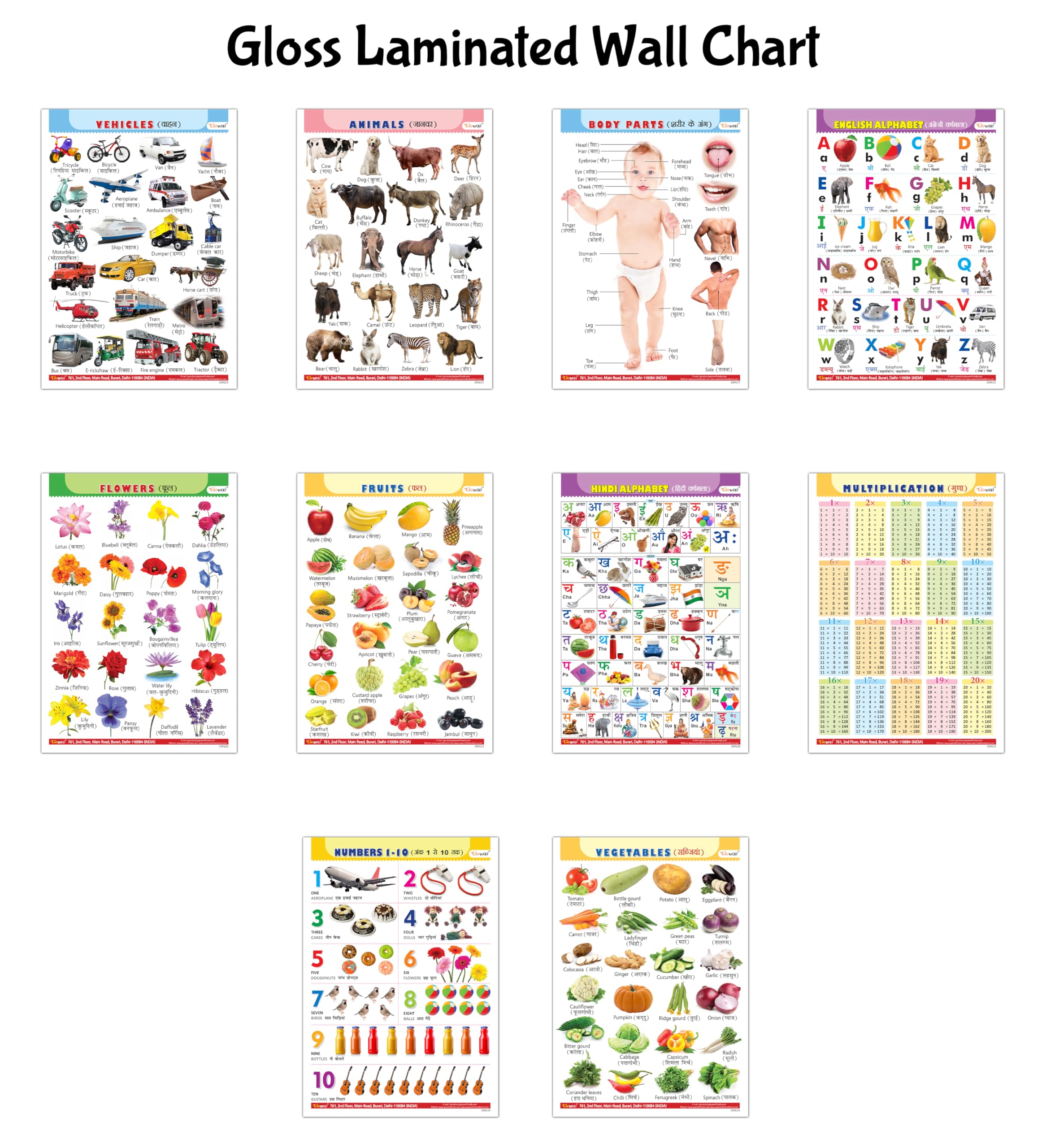 Educational Gloss Lamination Wall Charts : Alphabet, Fruits, Vegetables, Animals, Body Parts, Numbers, Multiplication, Hindi Varnmala, Flowers, Vehicles - Kids Learning Charts | Pack Of 10 Charts