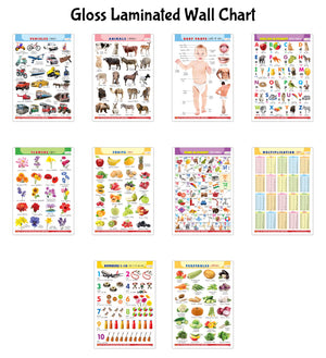 Educational Gloss Lamination Wall Charts : Alphabet, Fruits, Vegetables, Animals, Body Parts, Numbers, Multiplication, Hindi Varnmala, Flowers, Vehicles - Kids Learning Charts | Pack Of 10 Charts