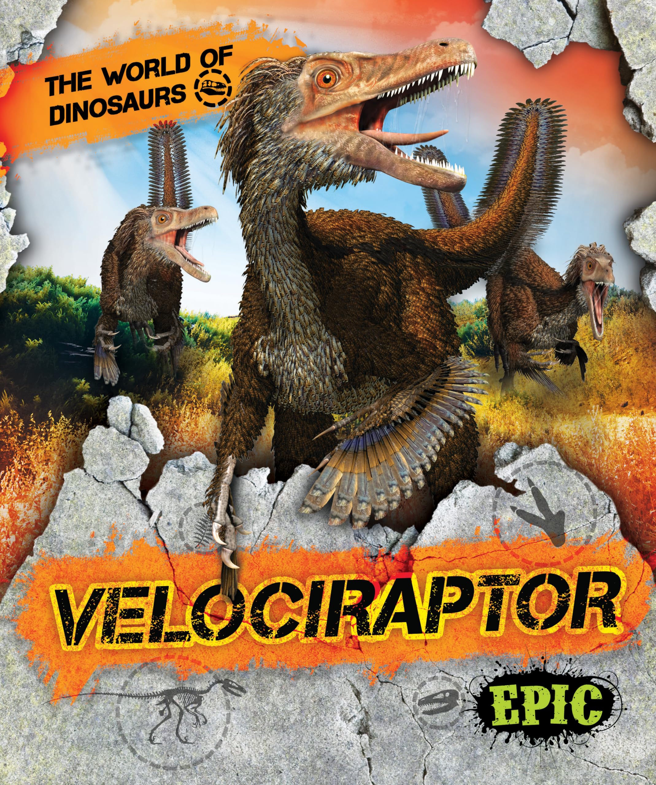 Velociraptor (The World of Dinosaurs),Used