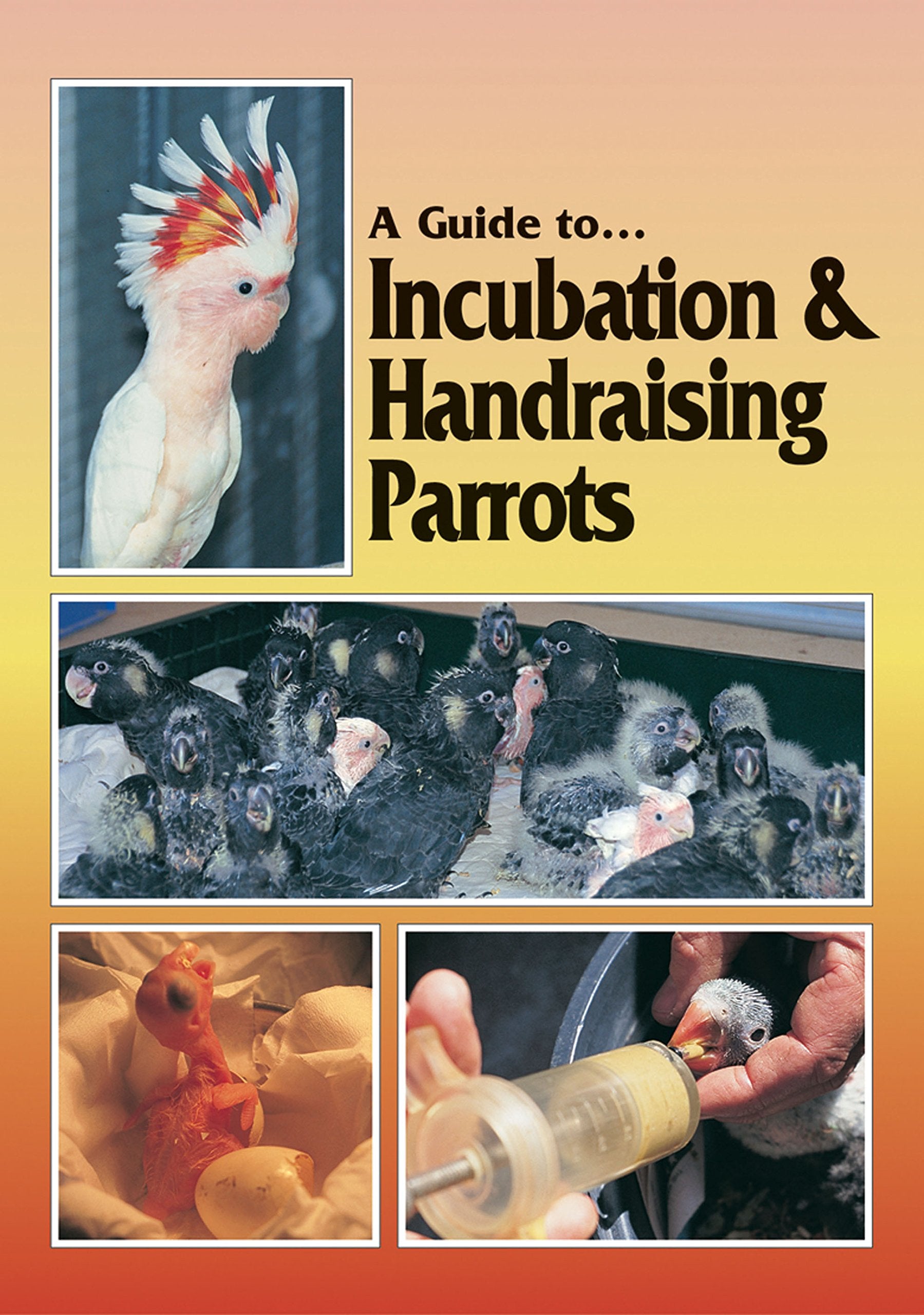 A Guide to Incubation & Handraising Parrots,Used