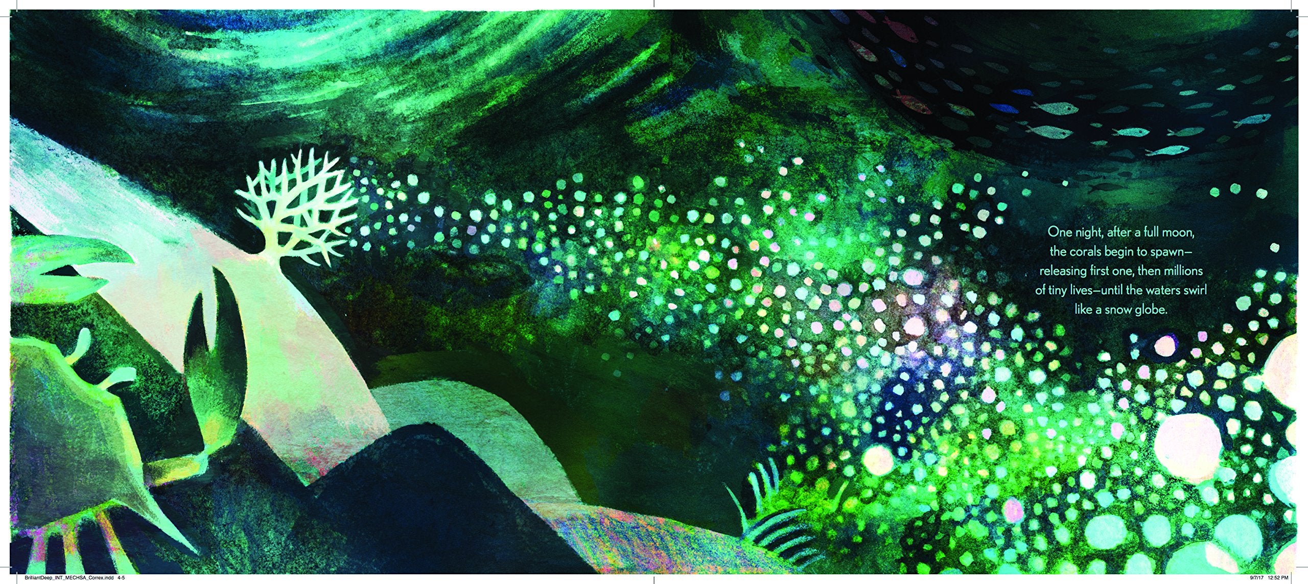 The Brilliant Deep: Rebuilding the World's Coral Reefs: The Story of Ken Nedimyer and the Coral Restoration Foundation (Environm,Used