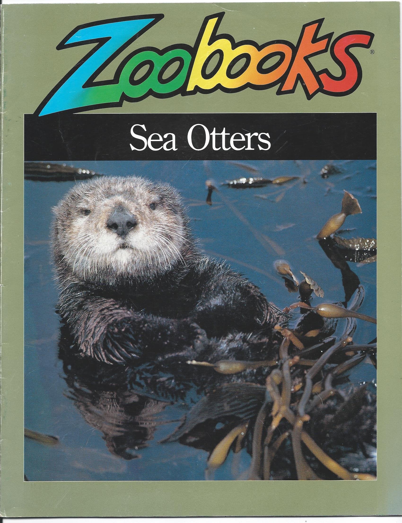 Sea Otters (Zoobooks Series),Used