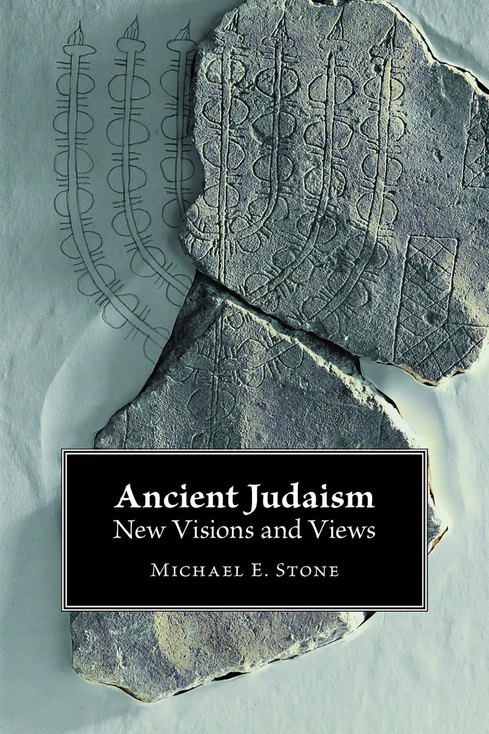 Ancient Judaism: New Visions And Views,New