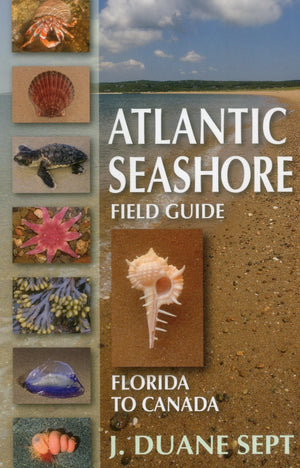 Atlantic Seashore Field Guide: Florida To Canada,Used