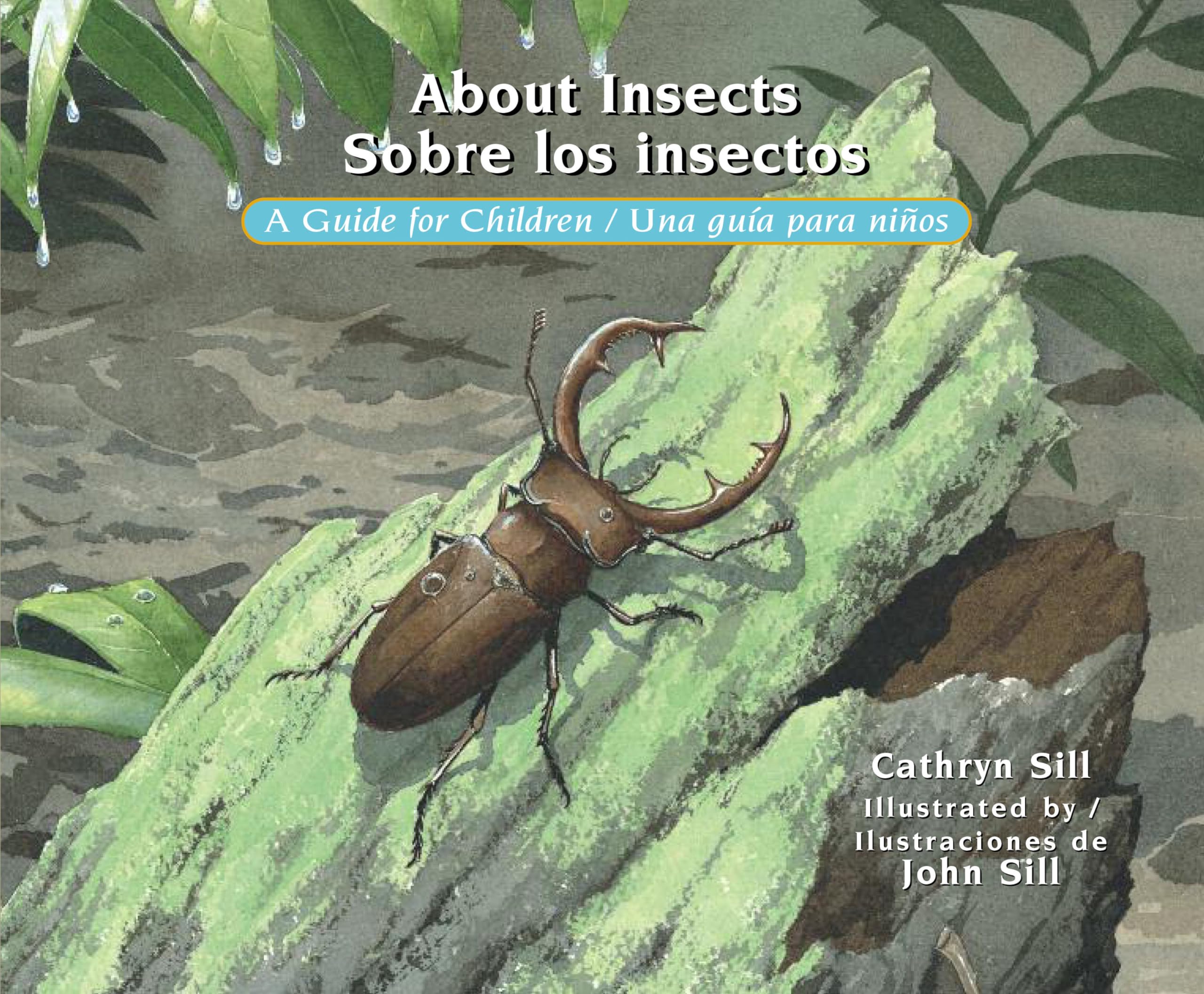 About Insects / Sobre los insectos: A Guide for Children / Una gua para nios,Used