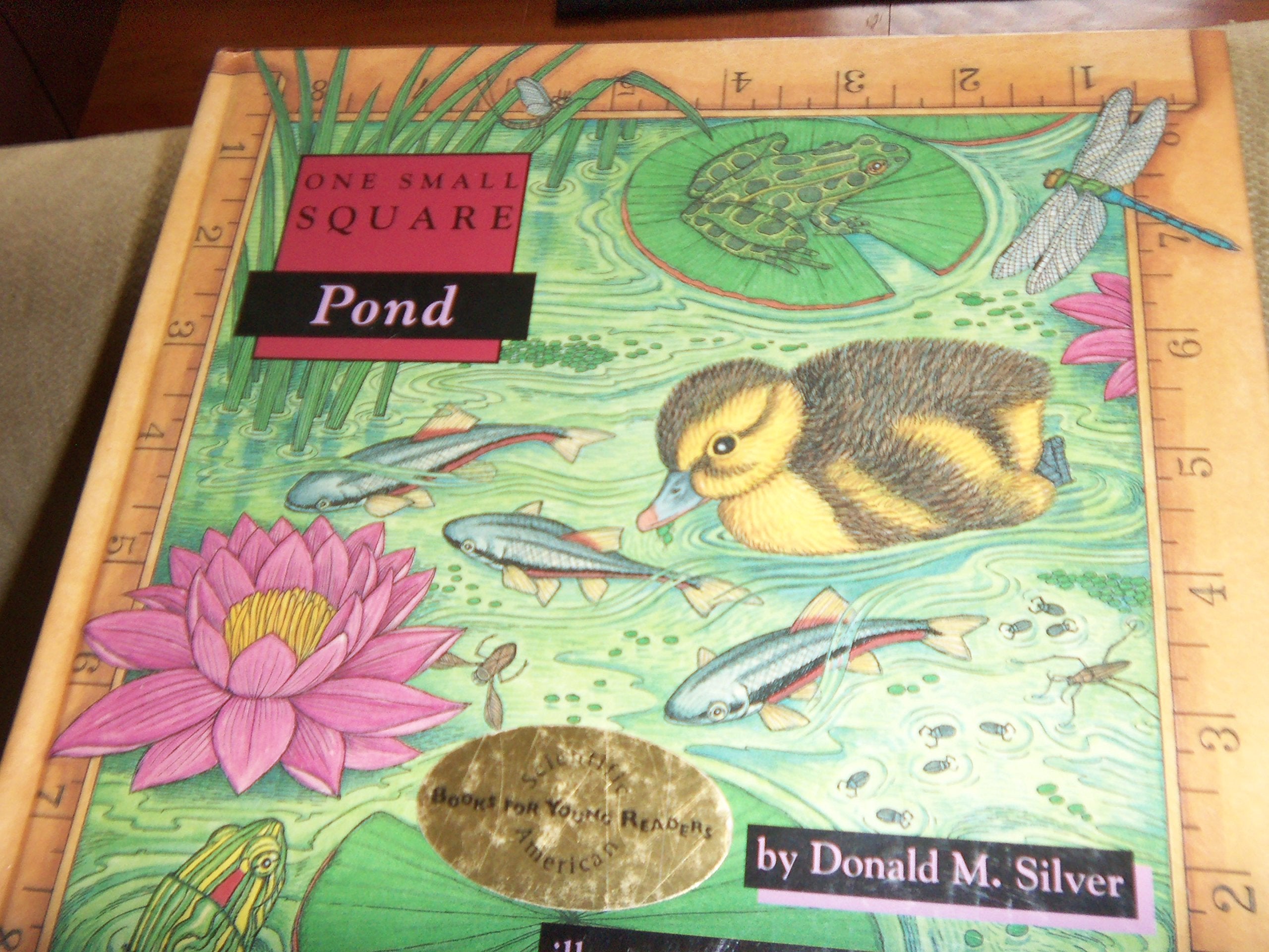 Pond (One Small Square),New