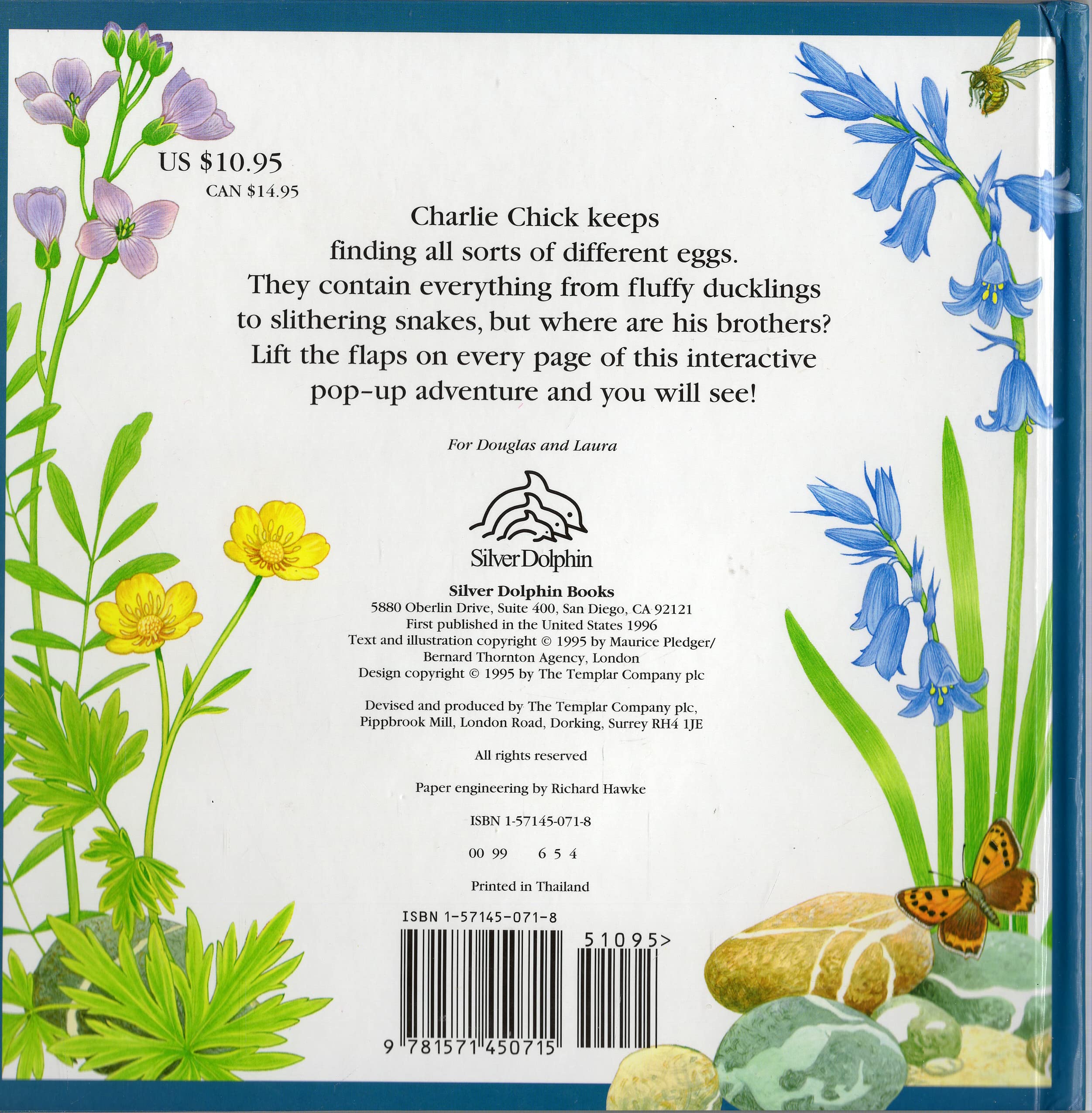 An Adventure with Charlie Chick (A Peek and Find Book),Used