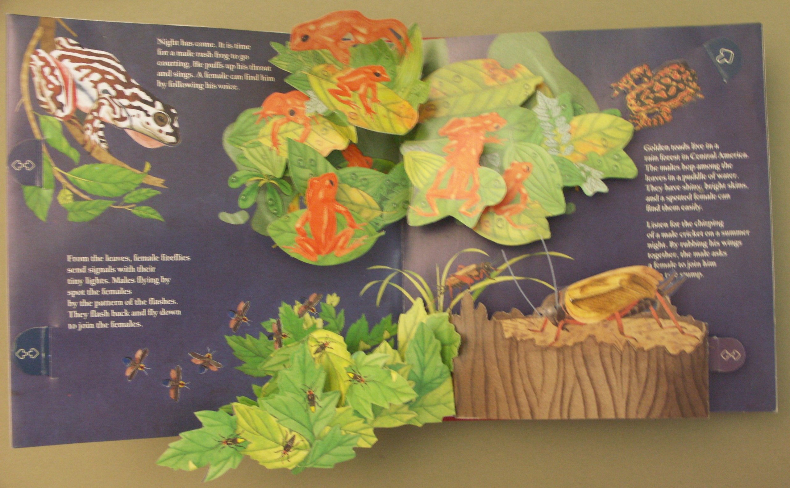 Animals Showing Off (A Popup Book) (National Geographic Action Book),Used