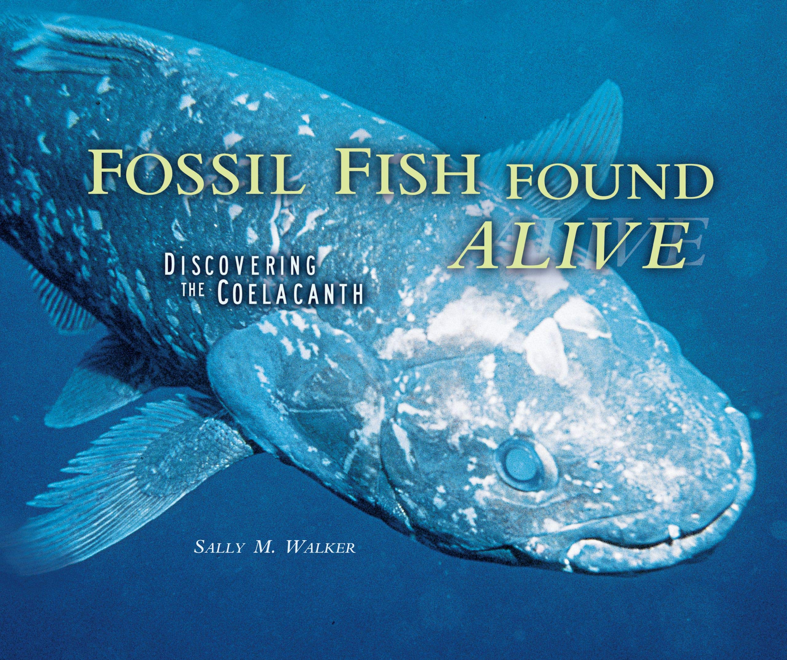 Fossil Fish Found Alive: Discovering the Coelacanth (Carolrhoda Photo Books),Used
