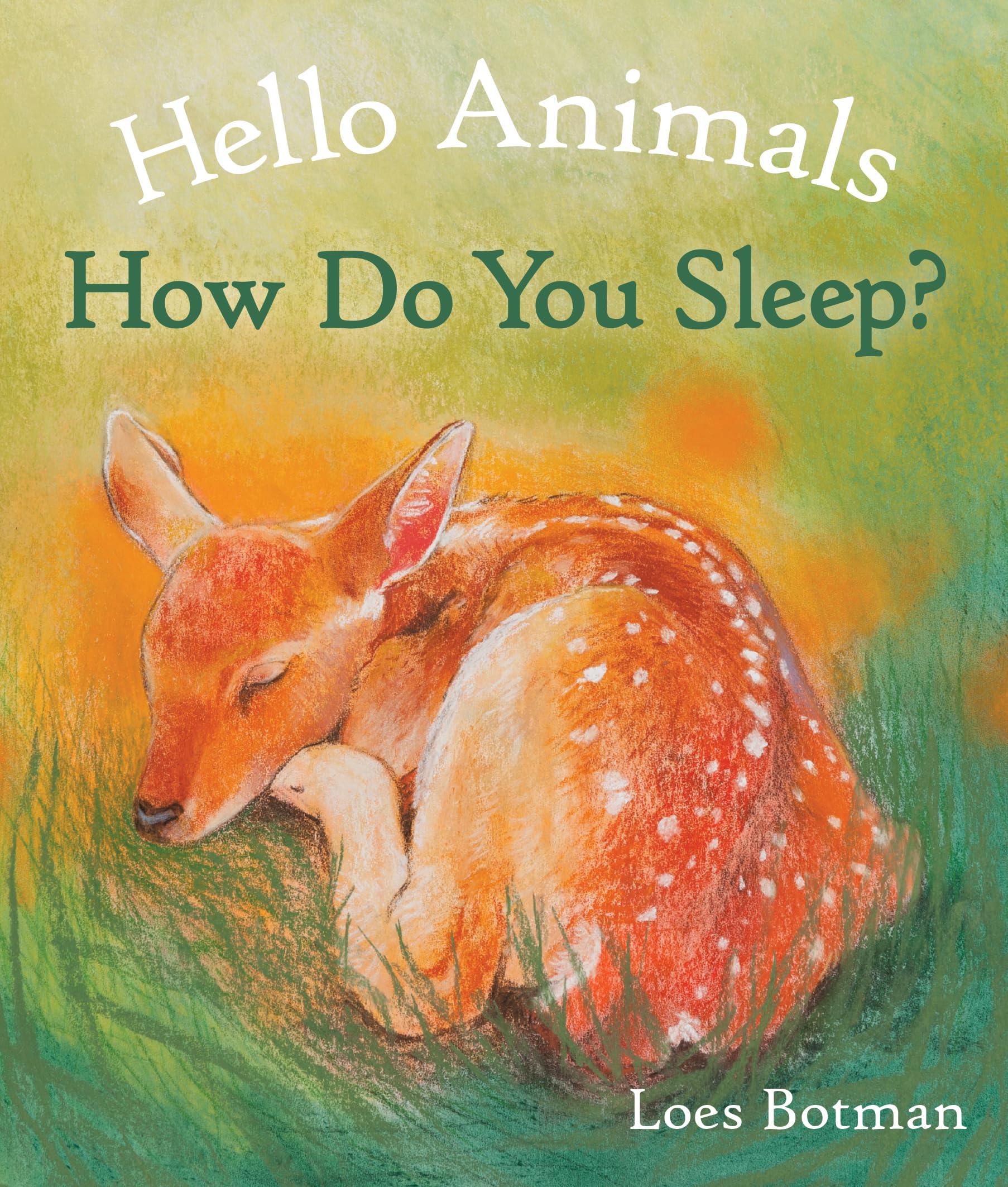 Hello Animals, How Do You Sleep?,Used