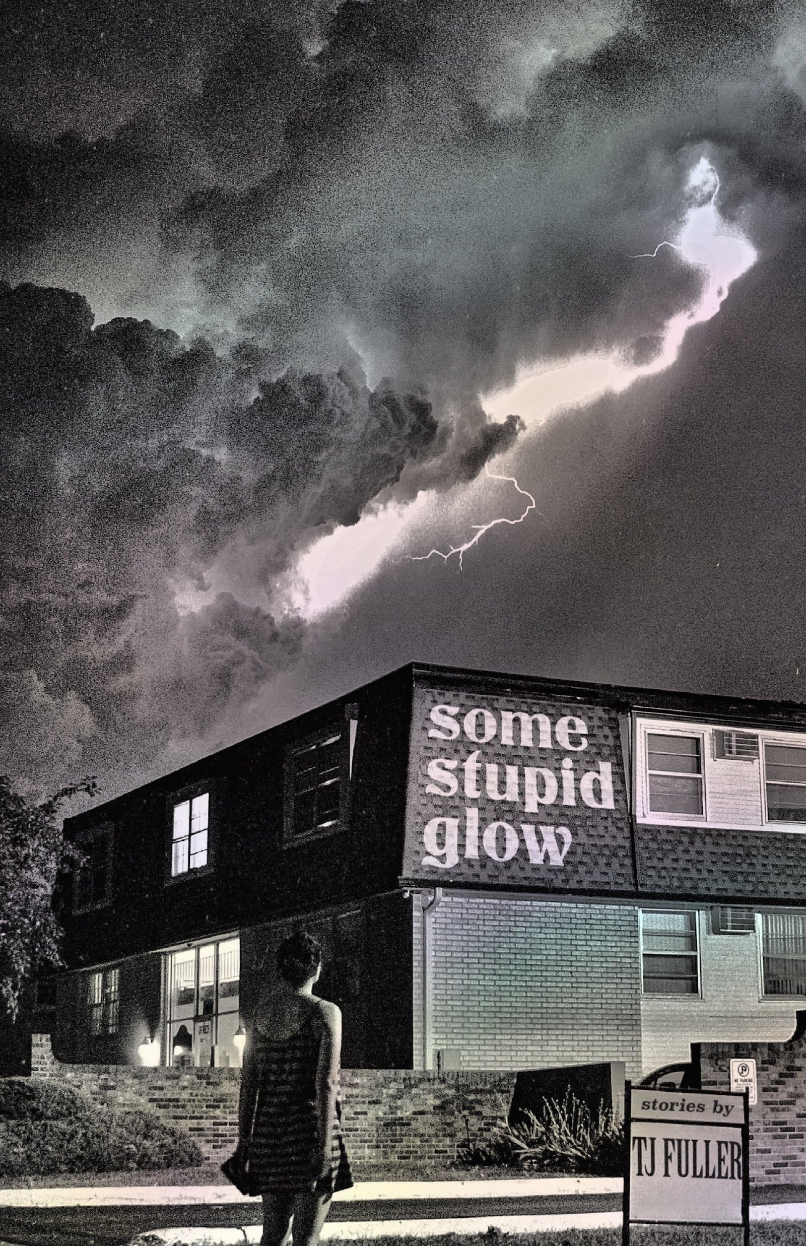 Some Stupid Glow: Stories