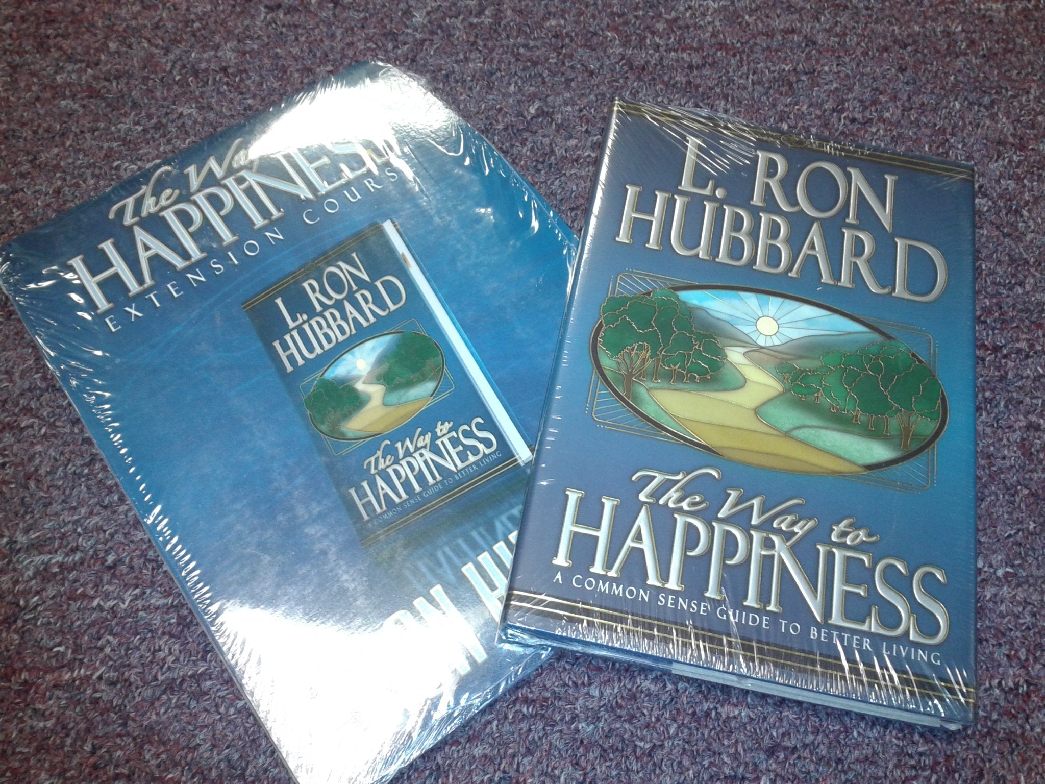 The Way to Happiness: A Common Sense Guide to Better Living,Used