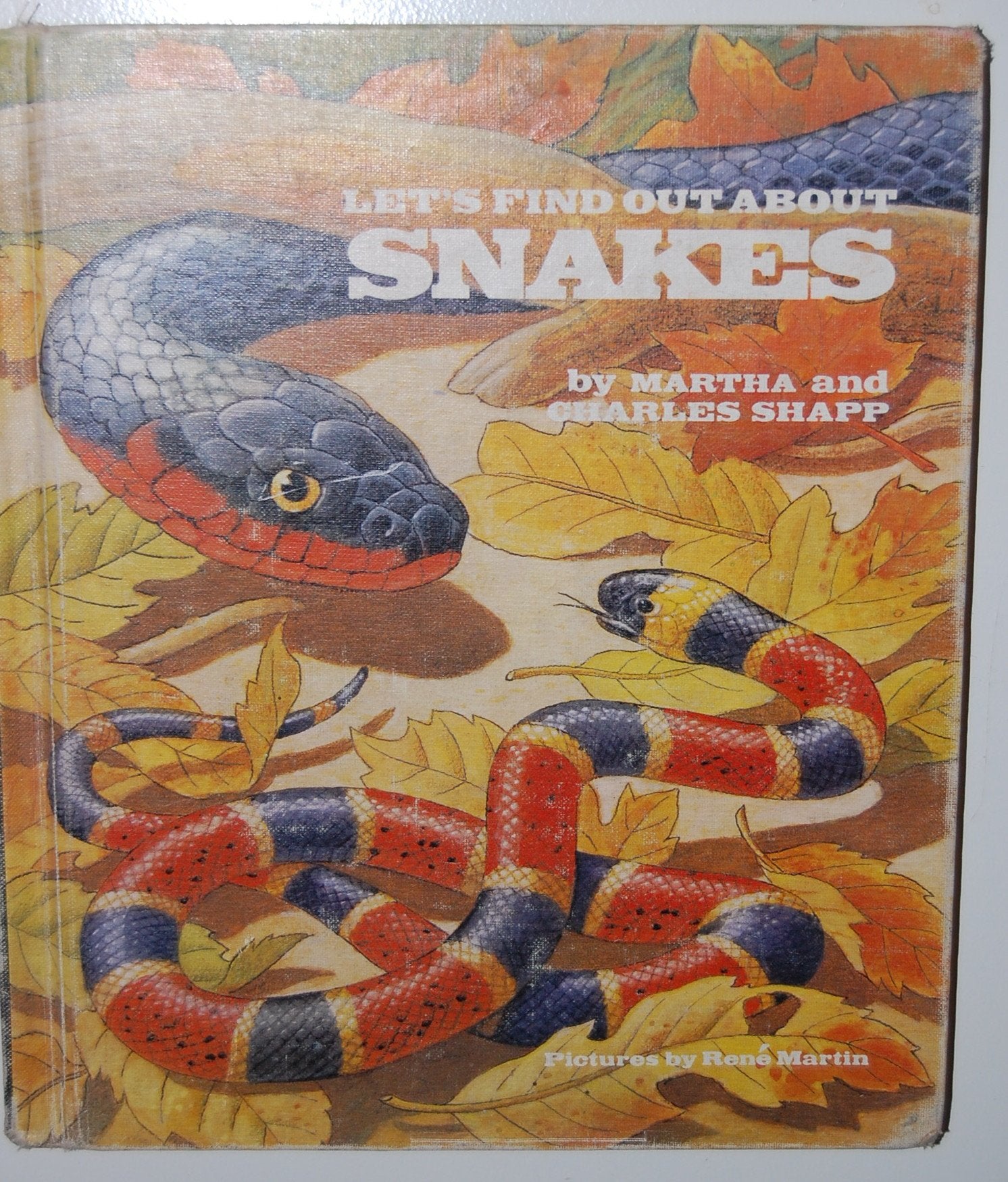 Let's Find Out About Snakes,Used