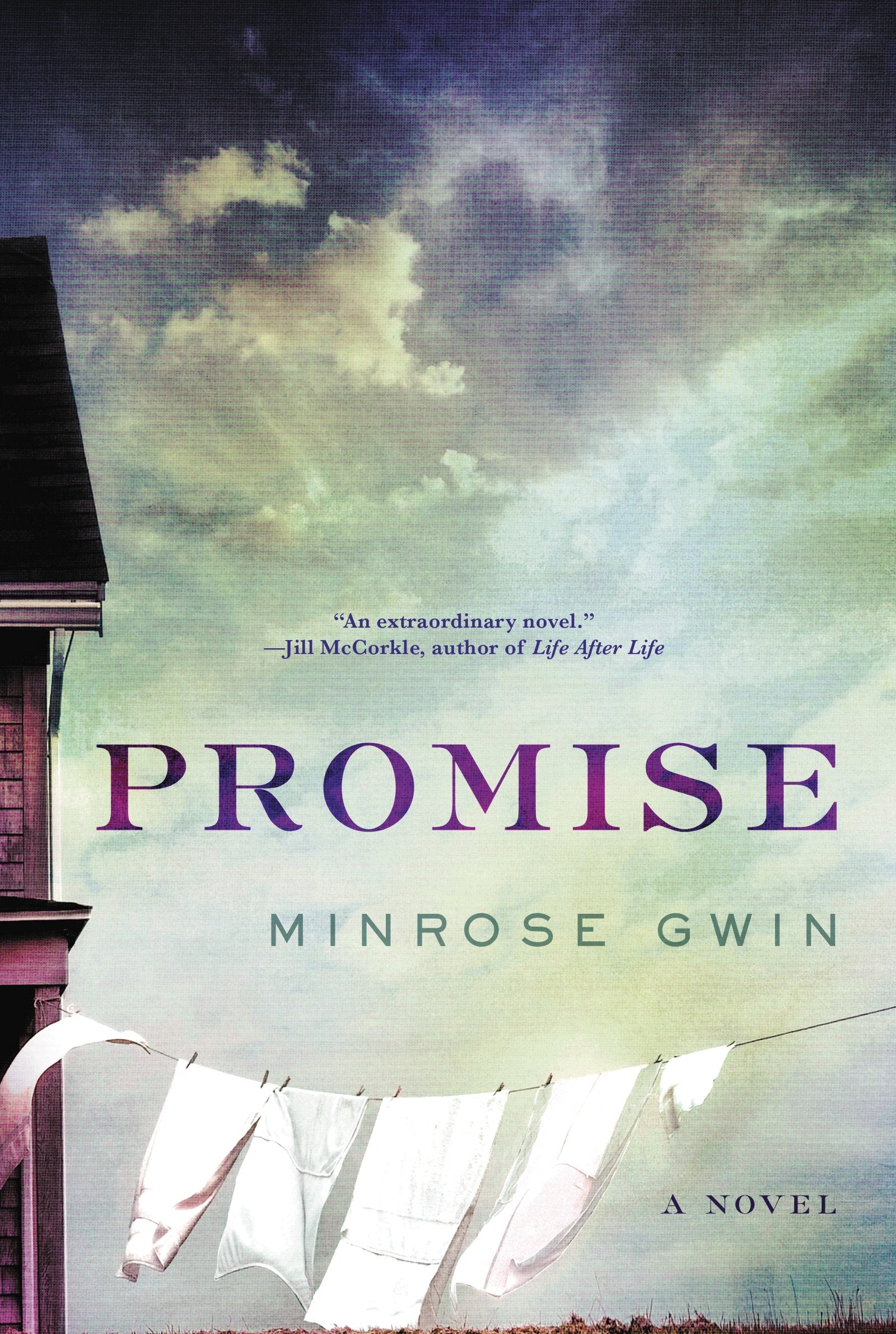 Promise: A Novel,Used