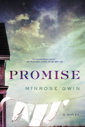 Promise: A Novel,Used