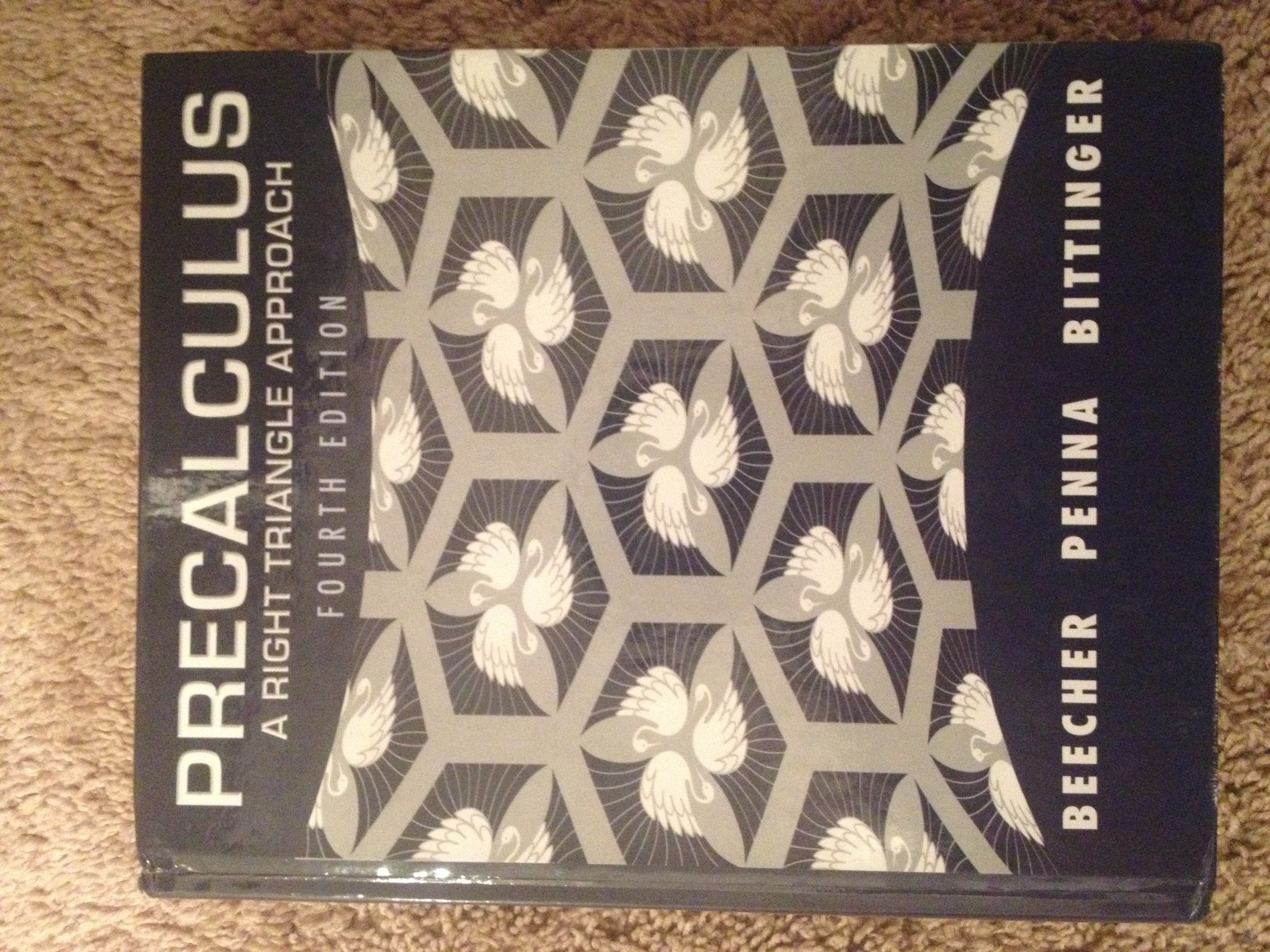 Precalculus: A Right Triangle Approach,Used
