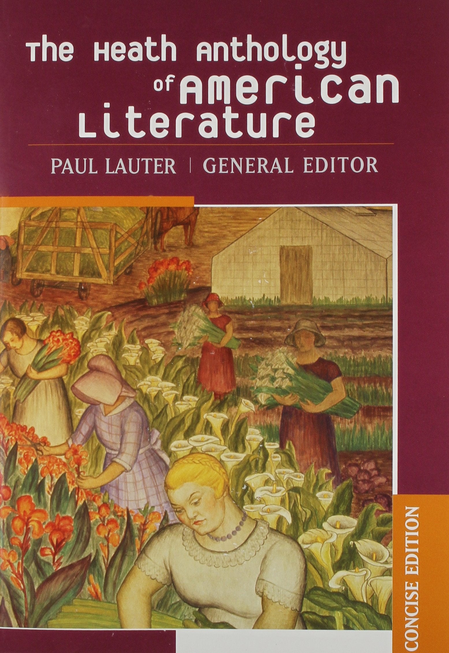 The Heath Anthology of American Literature, Concise Edition,Used
