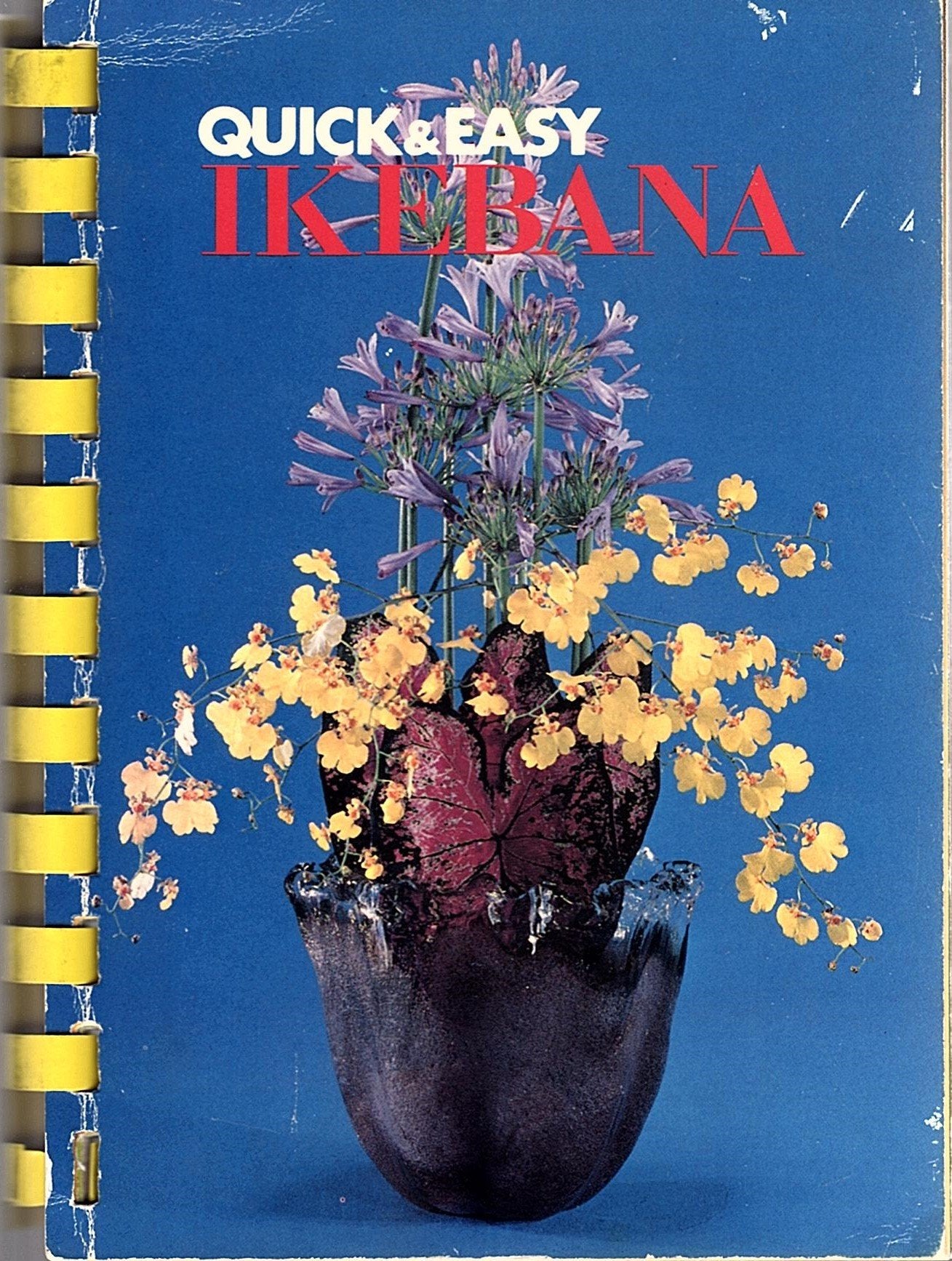 Quick & Easy Ikebana,Used