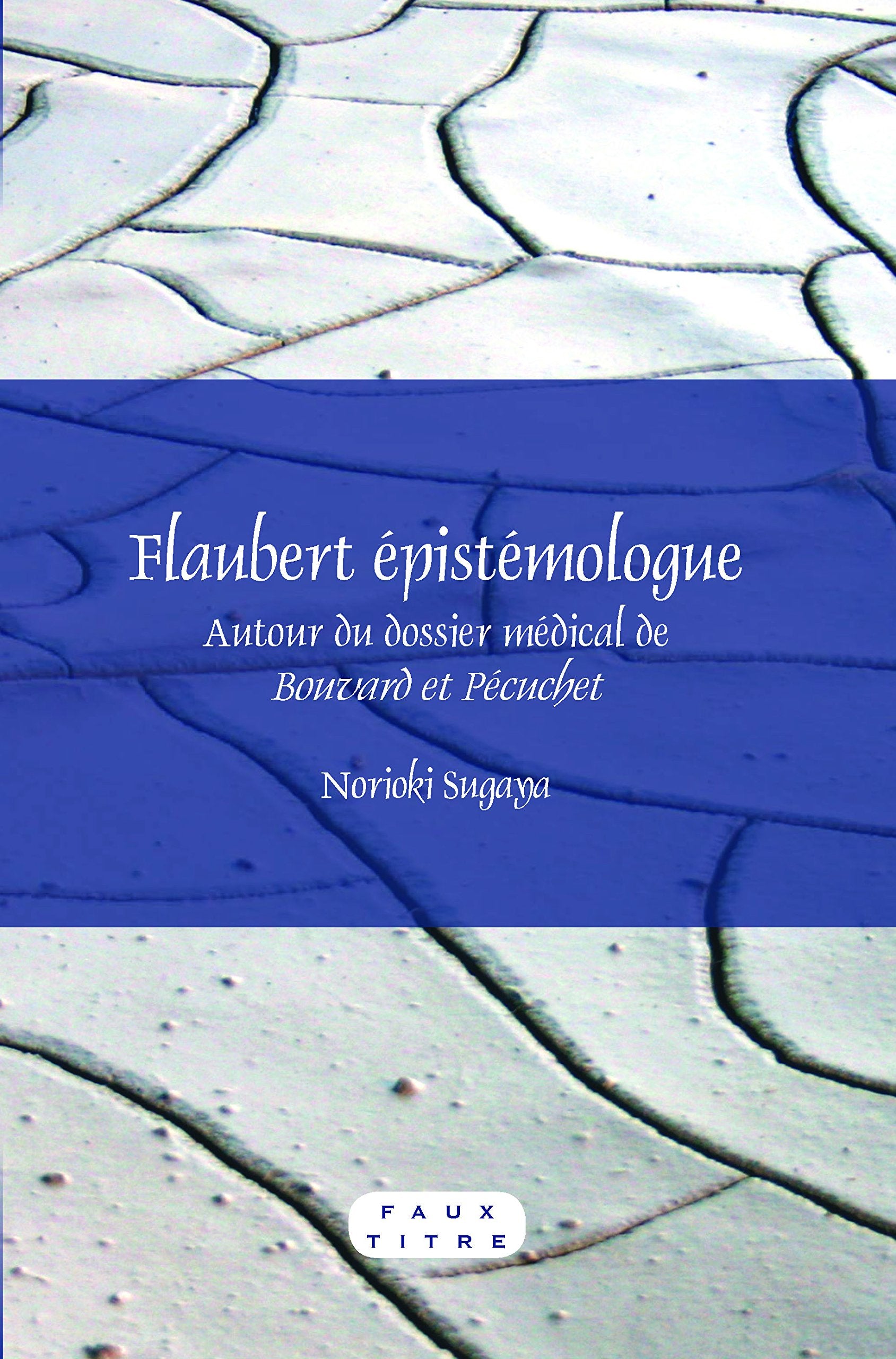 Flaubert epistmologue: Autour du dossier medical de Bouvard et Pcuchet (Faux Titre, 346) (French Edition),Used