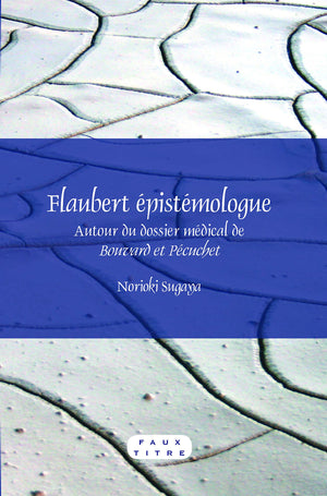 Flaubert epistmologue: Autour du dossier medical de Bouvard et Pcuchet (Faux Titre, 346) (French Edition),Used