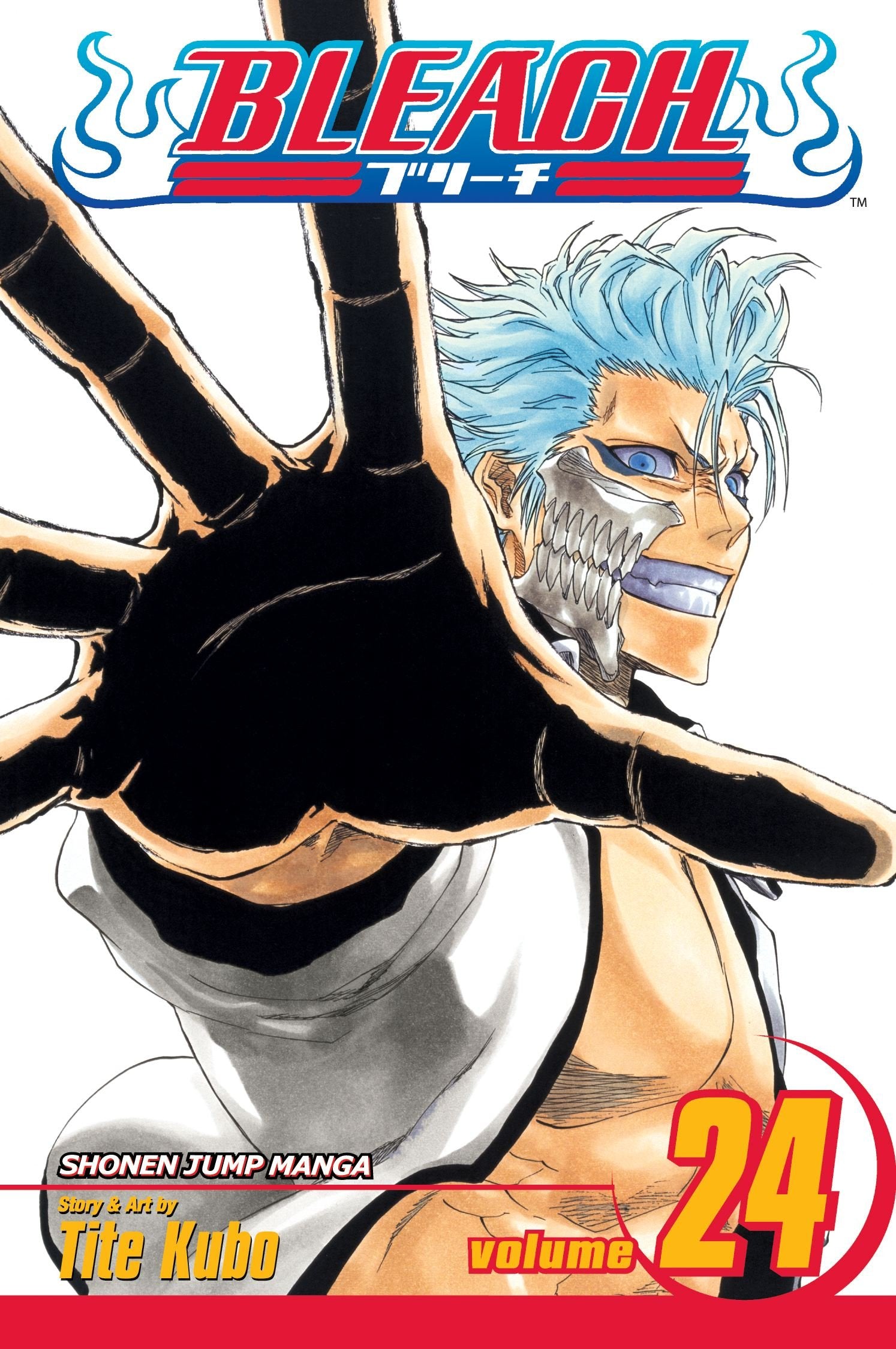 Bleach, Vol. 24,New