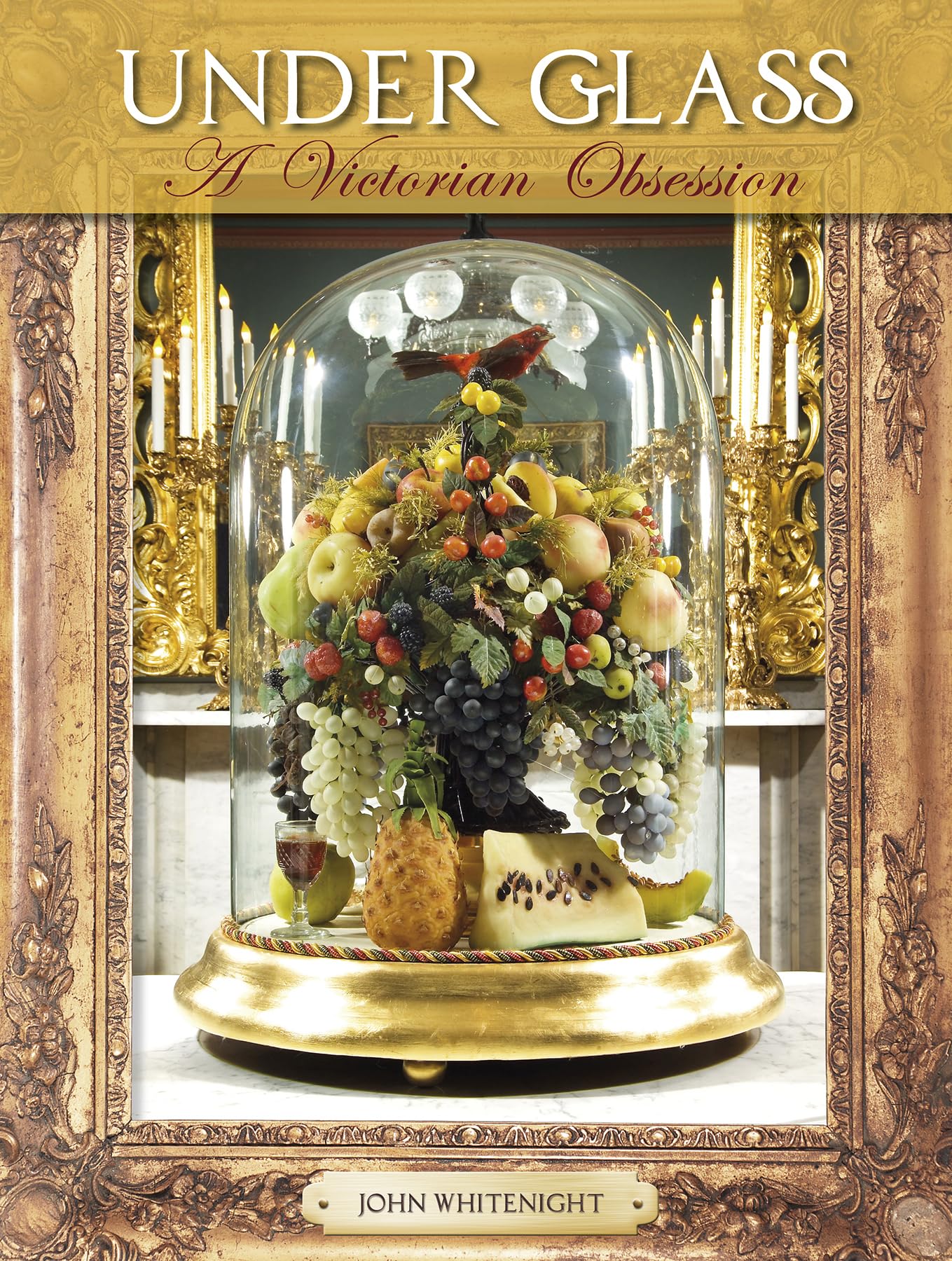 Under Glass: A Victorian Obsession,Used