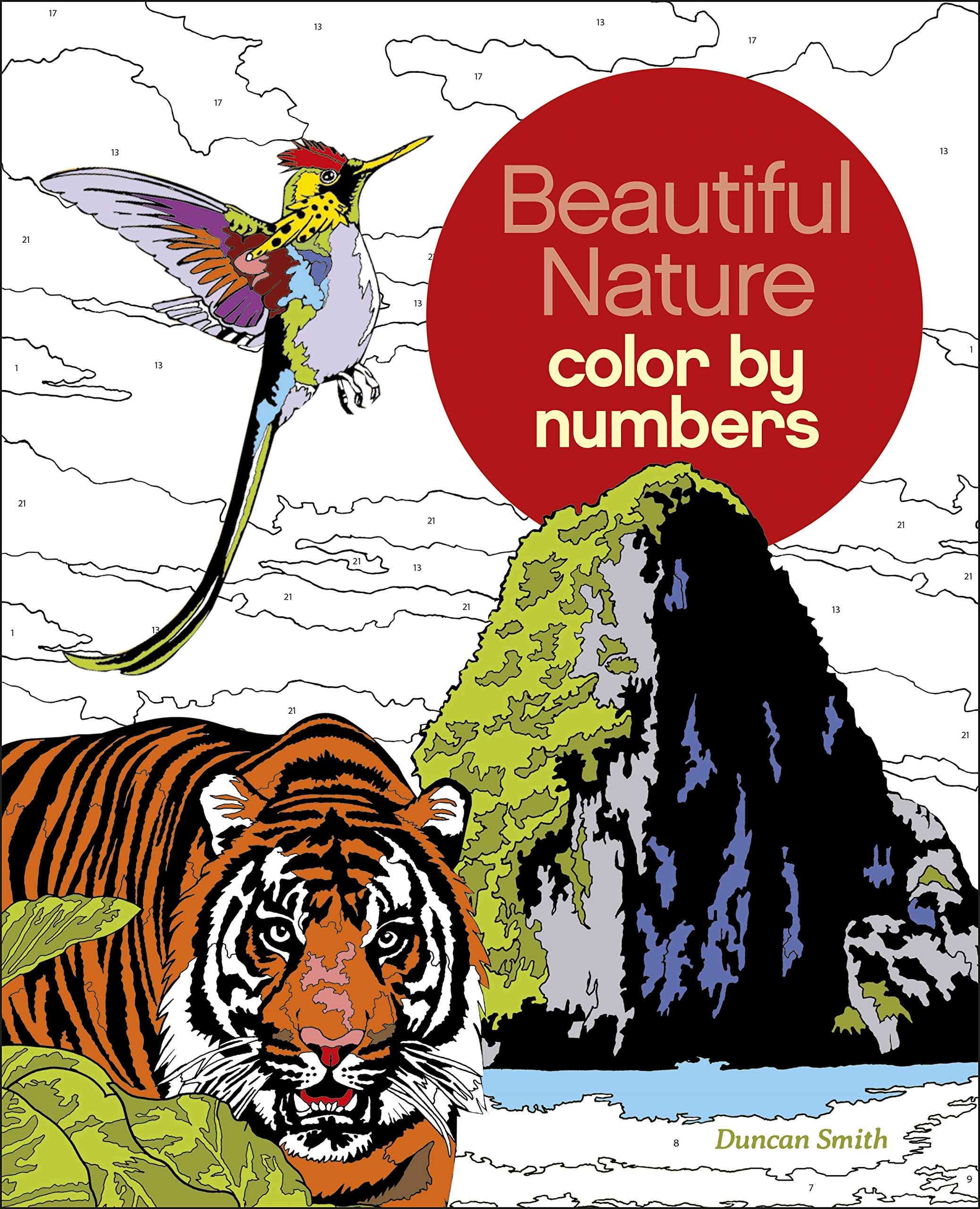 Beautiful Nature Color by Numbers (Sirius Color by Numbers Collection, 16),Used