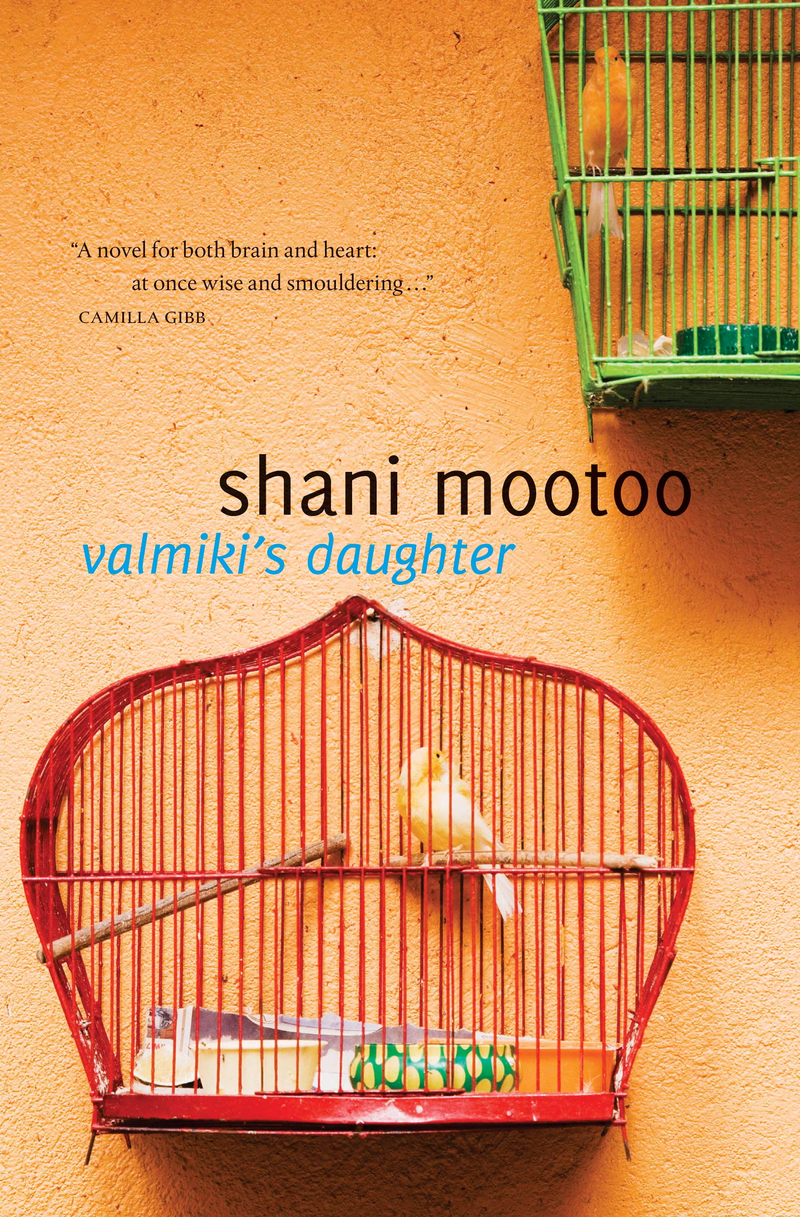 Valmiki'S Daughter,Used