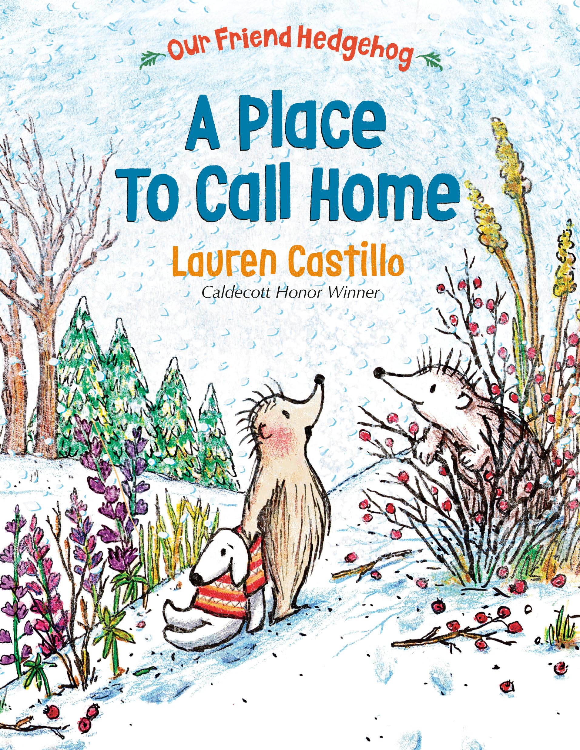 A Place To Call Home (Our Friend Hedgehog)