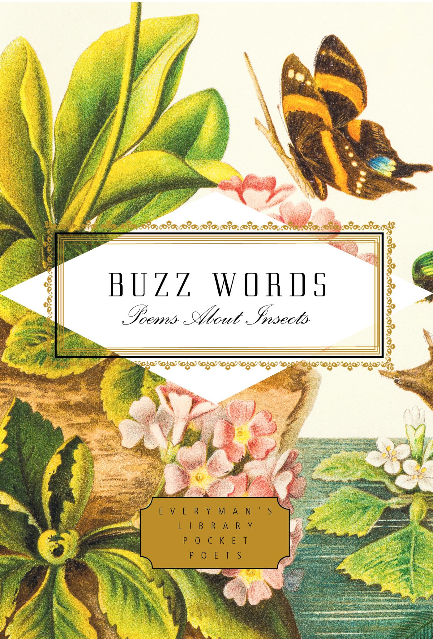 Buzz Words: Poems About Insects (Everyman'S Library Pocket Poets Series)