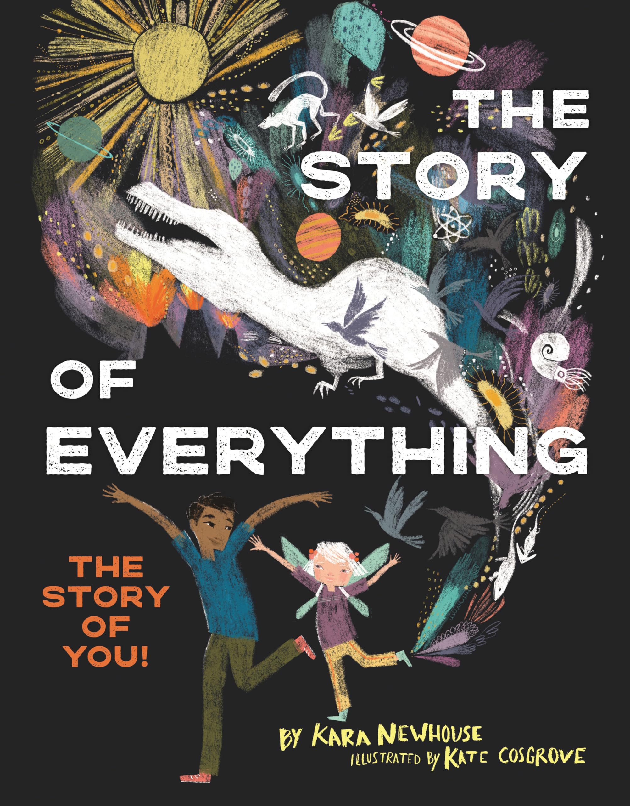 The Story Of Everything: The Story Of You!