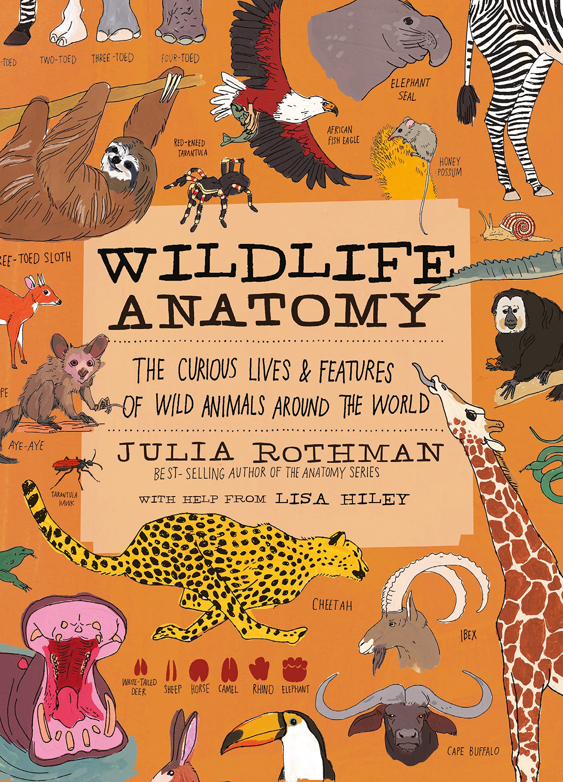 Wildlife Anatomy: The Curious Lives & Features of Wild Animals around the World,Used