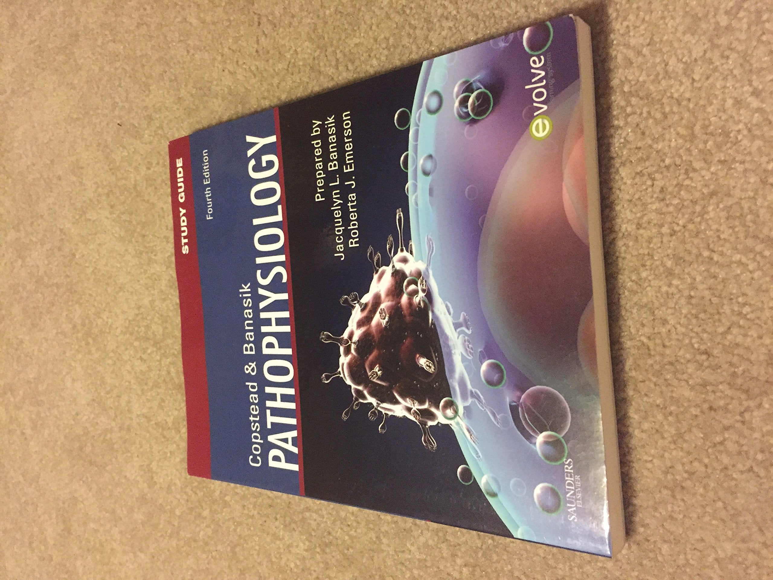 Study Guide for Pathophysiology,Used