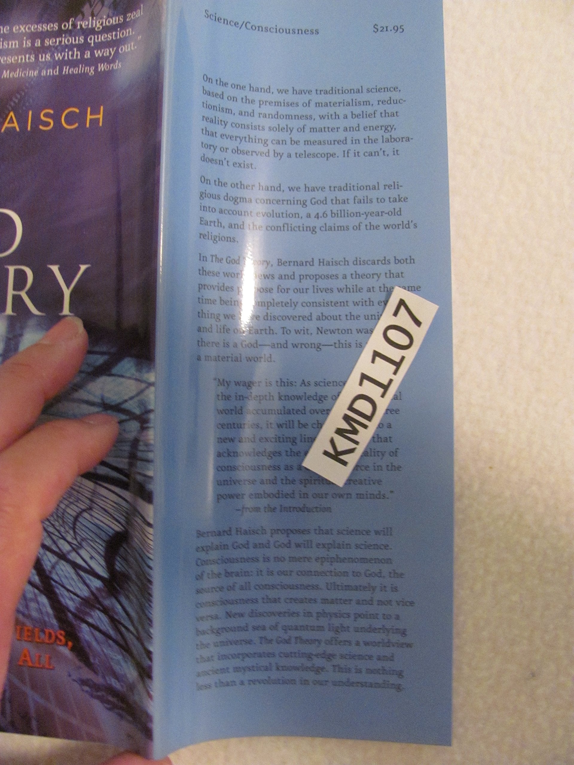 The God Theory: Universes, Zeropoint Fields, And What's Behind It All,Used