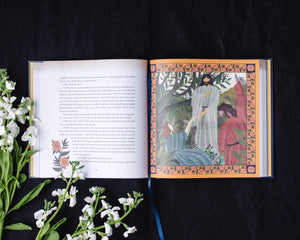 The Pilgrim's Progress: An Illustrated Christian Classic,Used