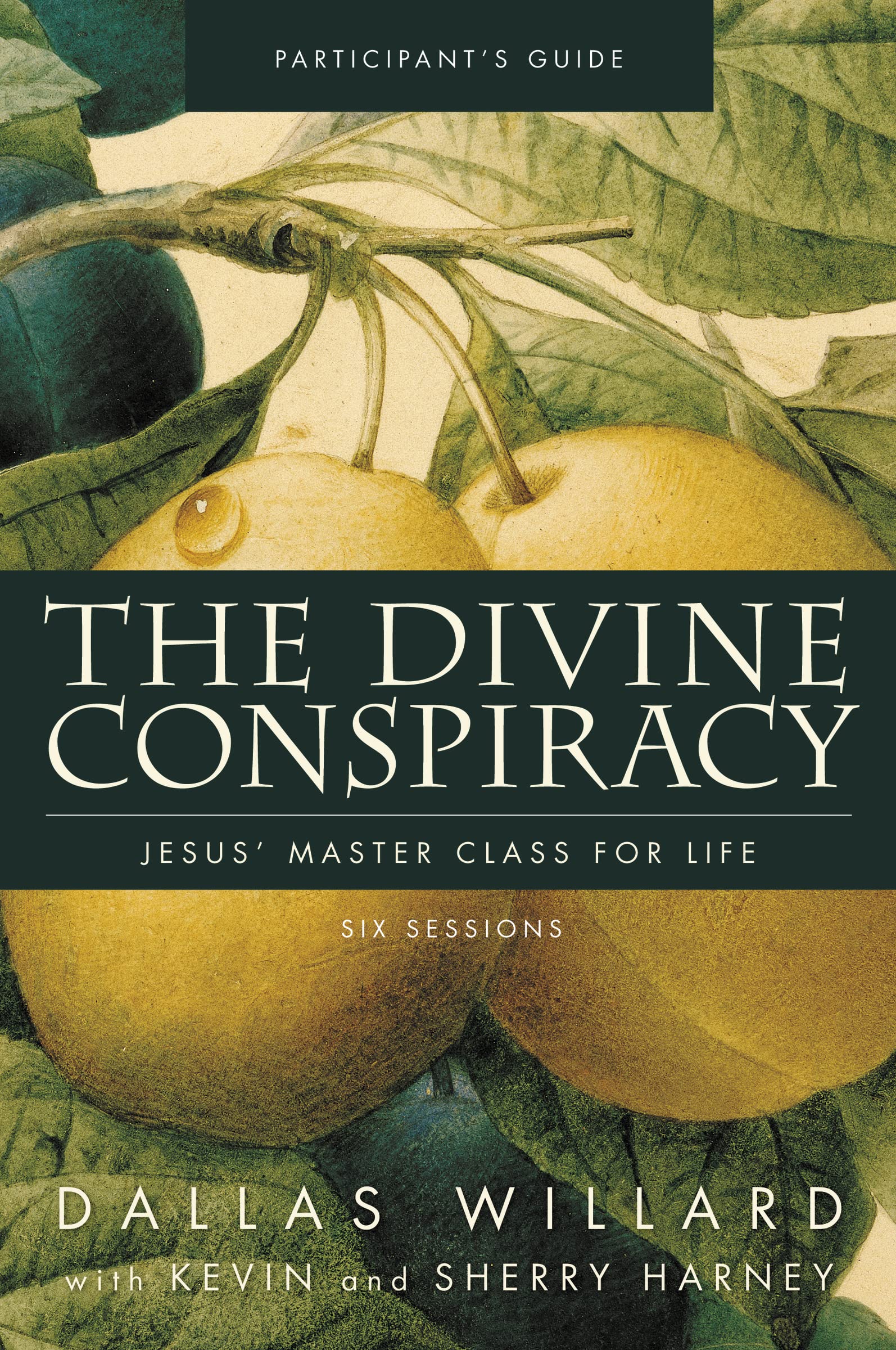 The Divine Conspiracy Bible Study Participant'S Guide: Jesus' Master Class For Life